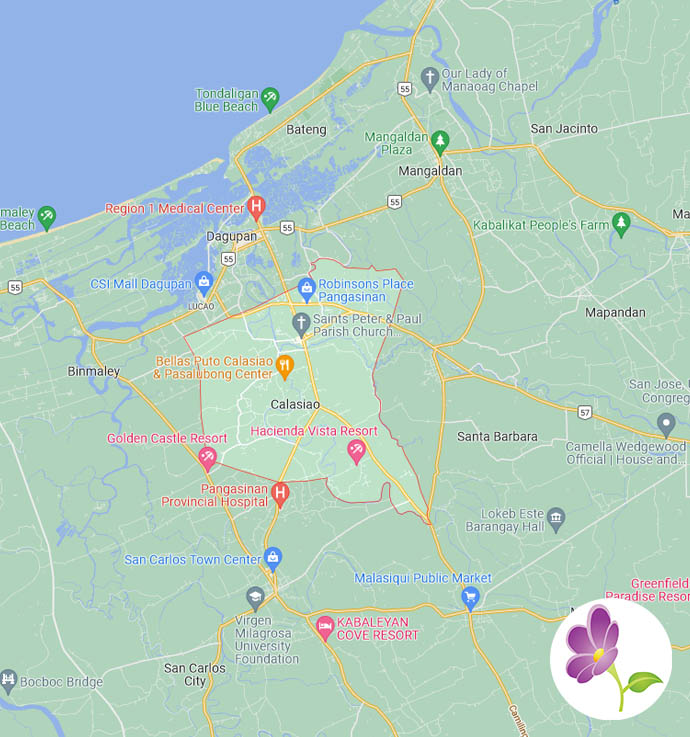 Tin's Flower Shop Flowers Delivered to Calasiao in Pangasinan FREE